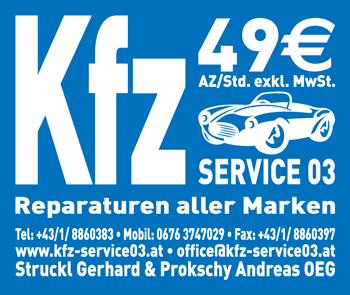 KFZ Service03